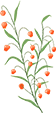13056247440dd290fcc0854bd73db0e5.png 13056247440dd290fcc0854bd73db0e5.png