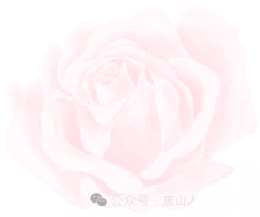 30547c24a489f38e6ac6bce0cd38c0bf.png 30547c24a489f38e6ac6bce0cd38c0bf.png