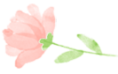 66db599e18ed7926157d2e692c38eece.png 66db599e18ed7926157d2e692c38eece.png